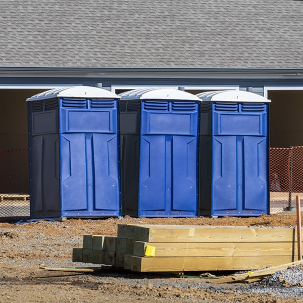 how can i report damages or issues with the porta potties during my rental period in Young Harris